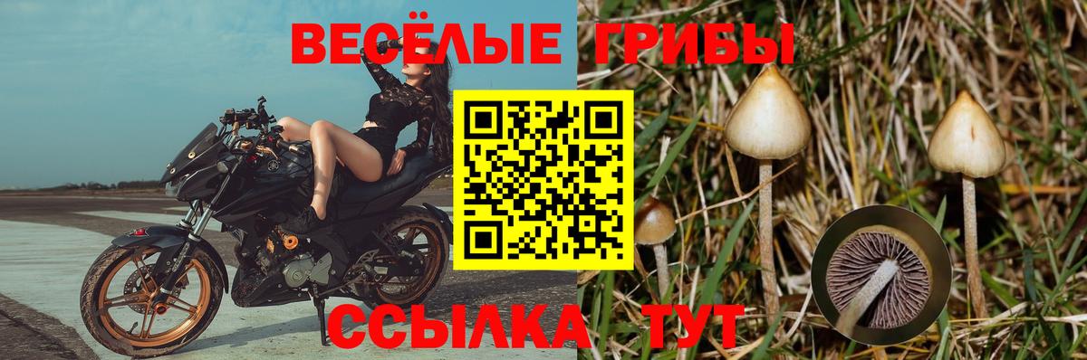 Галлюциногенные грибы Magic Shrooms Донской