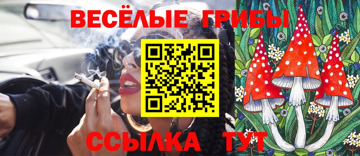 Псилоцибиновые грибы MAGIC MUSHROOMS  Вход с VPN  Галлюциногенные грибы Psilocybine cubensis  Донской 